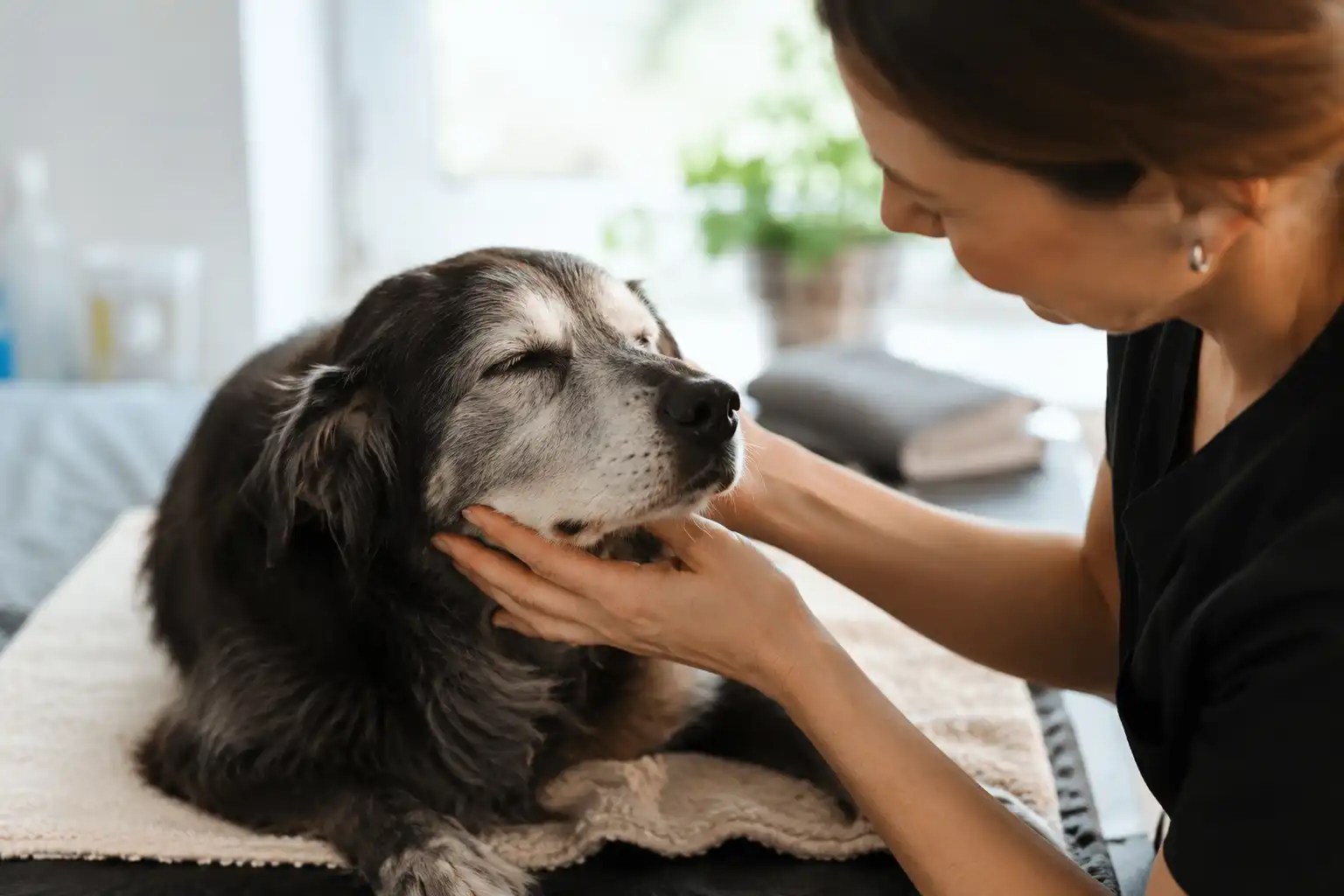 Senior Pets with pet